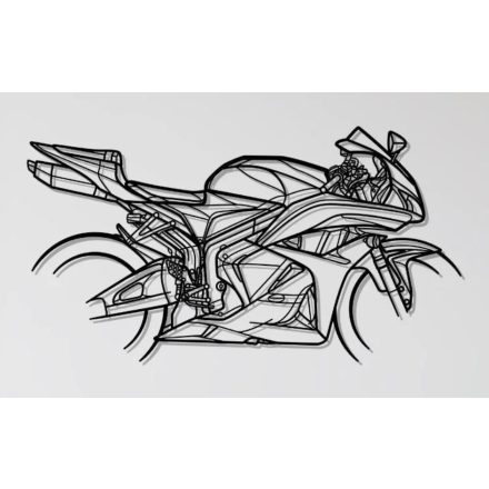 Honda CBR 600 RR faldekoráció